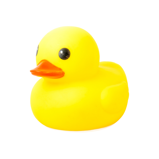 あひるちゃん1号