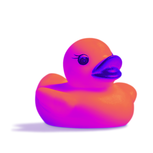 あひるちゃん2号